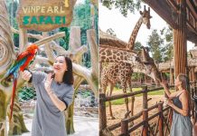 Mách bạn trọn bộ kinh nghiệm du lịch Vinpearl Safari Phú Quốc mới nhất