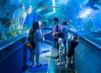 Hành trình khám phá thế giới đại dương tại thủy cung Aquaria KLCC Malaysia